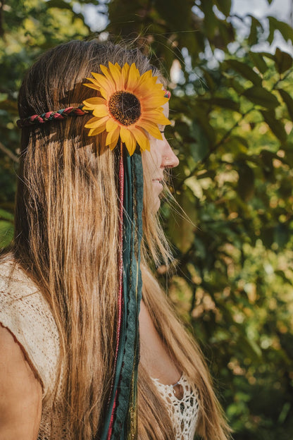 Sunflower Halos