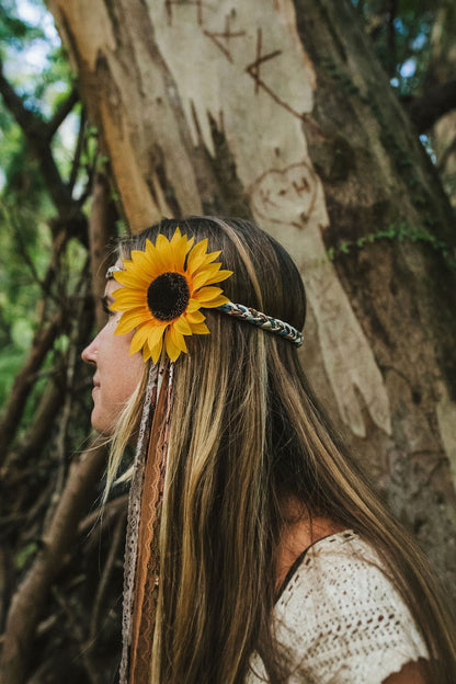 Sunflower Halos