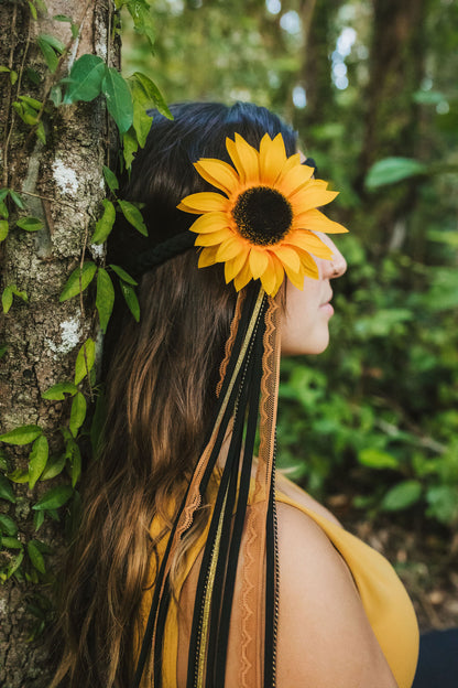 Sunflower Halos