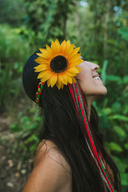 Sunflower Halos